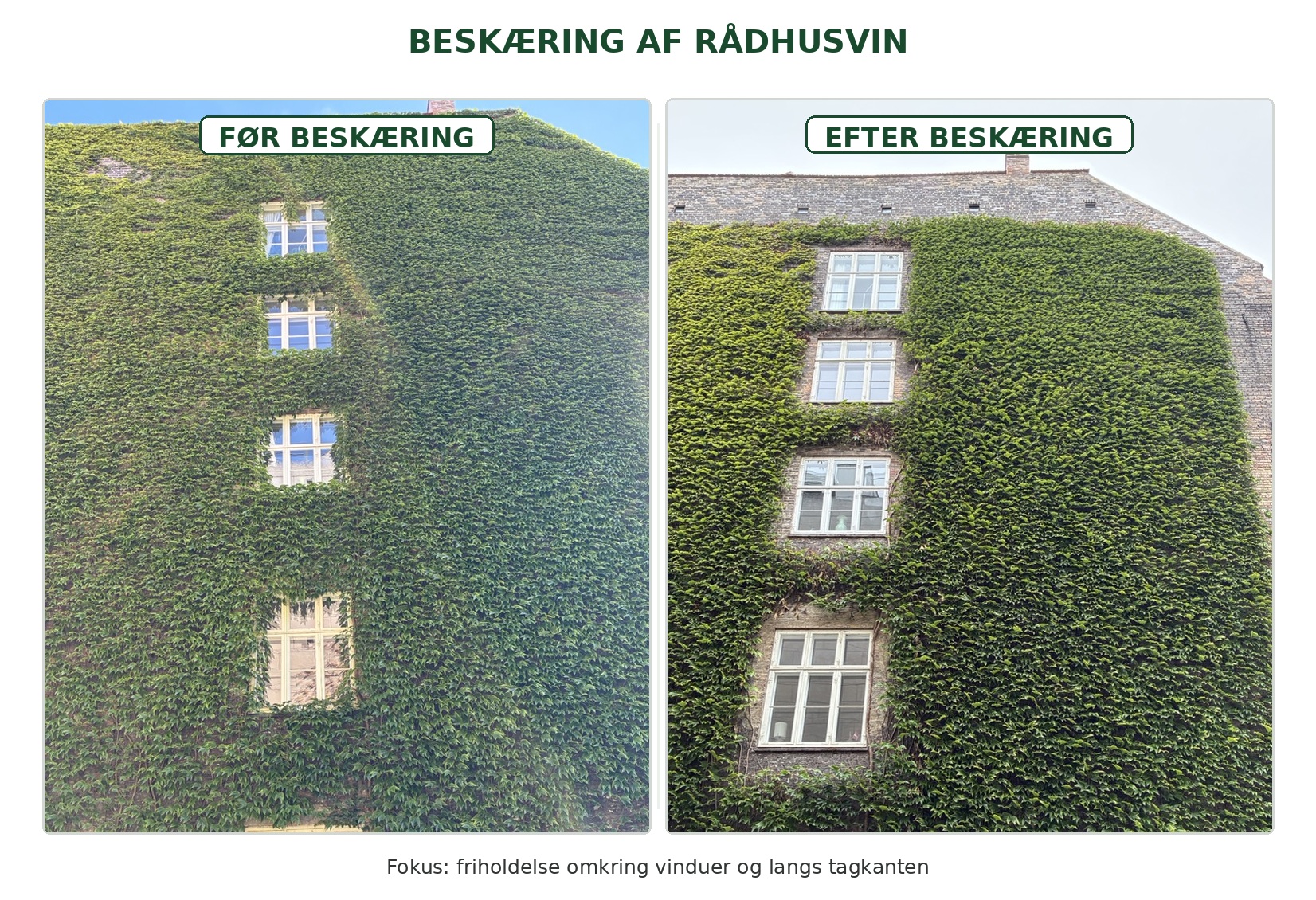 Beskæring af beplantning